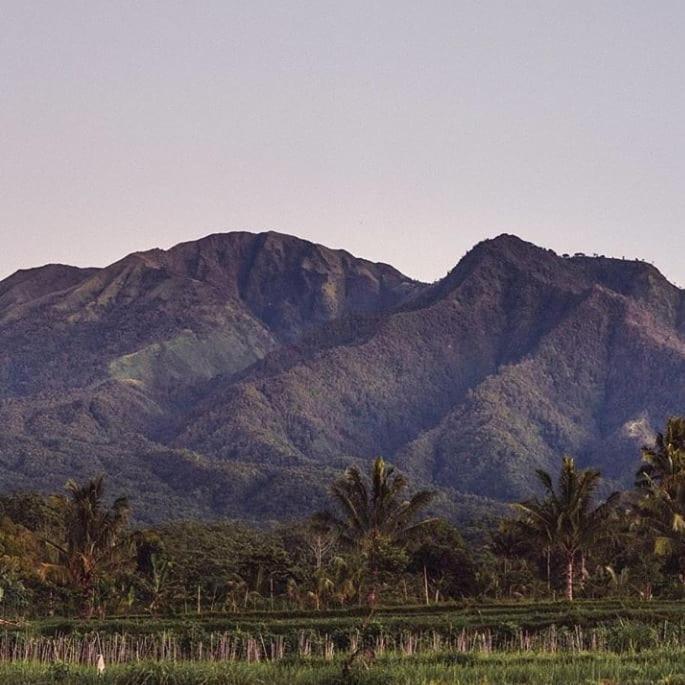 Tetebatu Mountain View Homestay Екстериор снимка