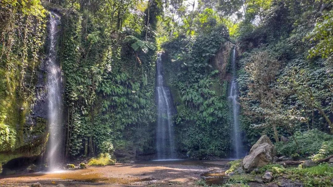 Tetebatu Mountain View Homestay Екстериор снимка
