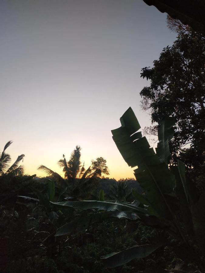 Tetebatu Mountain View Homestay Екстериор снимка