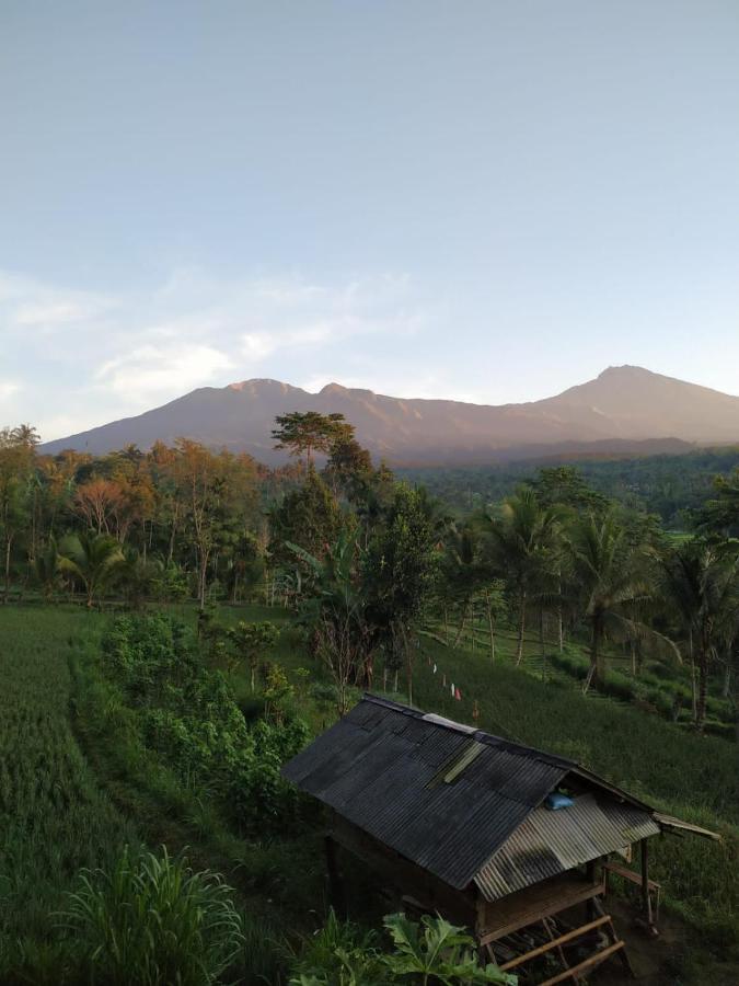 Tetebatu Mountain View Homestay Екстериор снимка