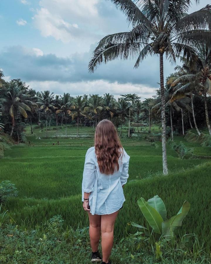 Tetebatu Mountain View Homestay Екстериор снимка