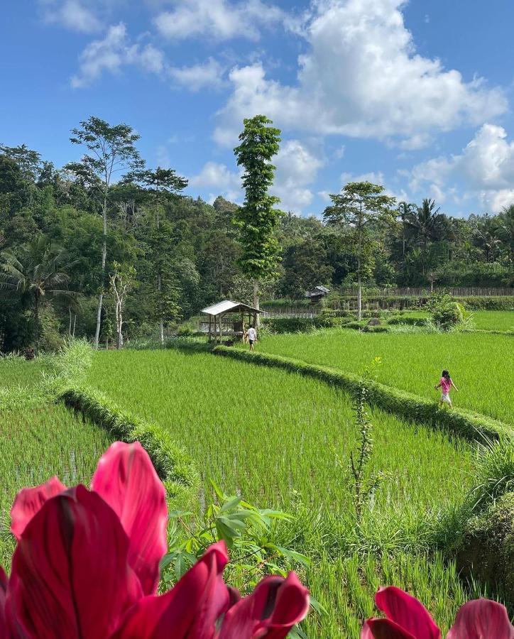 Tetebatu Mountain View Homestay Екстериор снимка