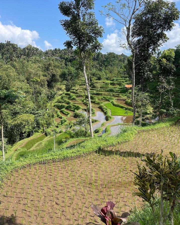 Tetebatu Mountain View Homestay Екстериор снимка