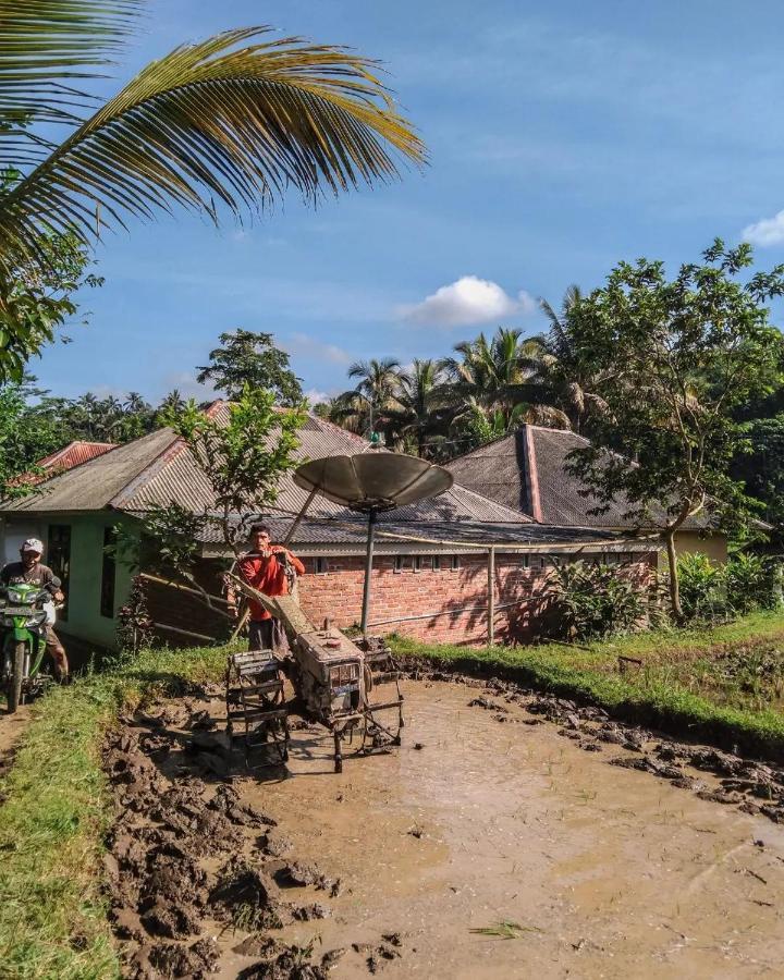 Tetebatu Mountain View Homestay Екстериор снимка