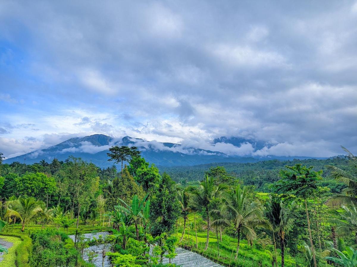 Tetebatu Mountain View Homestay Екстериор снимка