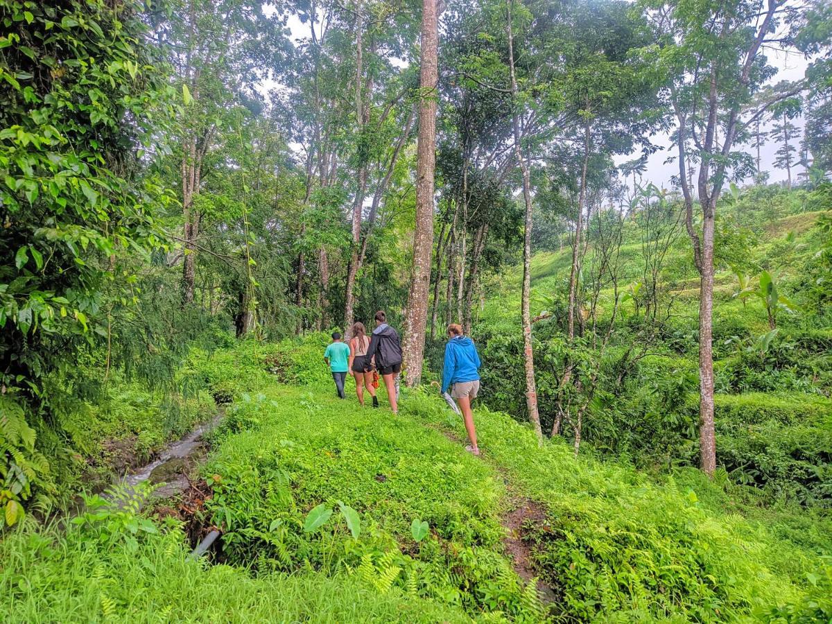 Tetebatu Mountain View Homestay Екстериор снимка