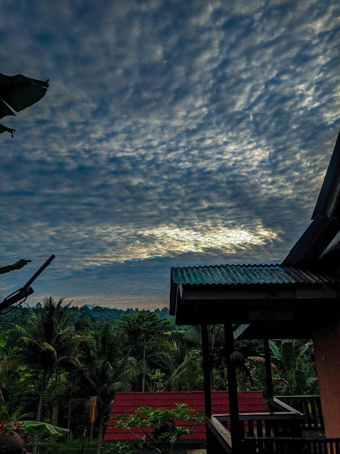 Tetebatu Mountain View Homestay Екстериор снимка