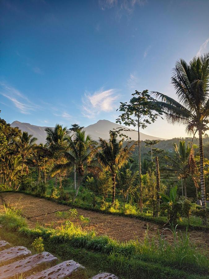 Tetebatu Mountain View Homestay Екстериор снимка