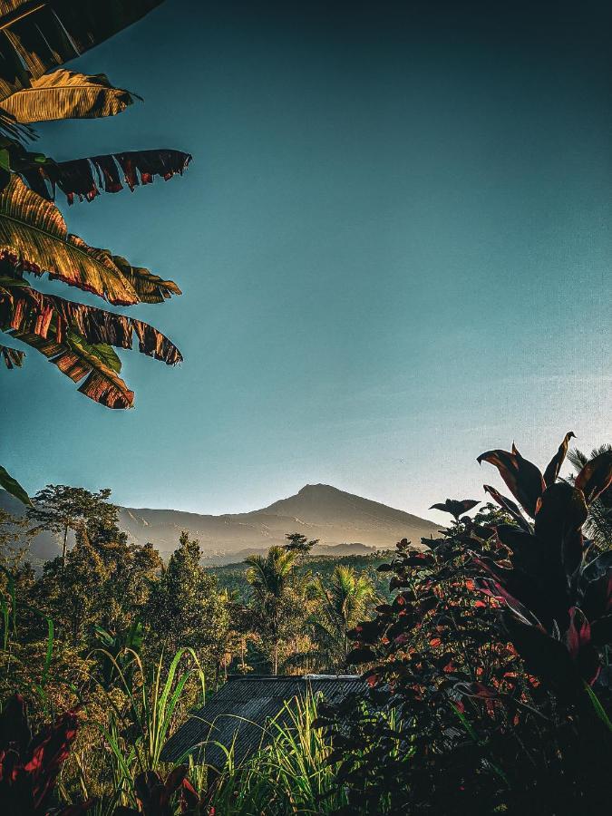 Tetebatu Mountain View Homestay Екстериор снимка