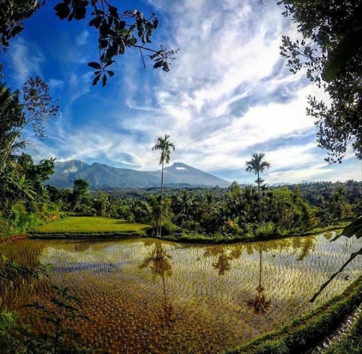 Tetebatu Mountain View Homestay Стая снимка