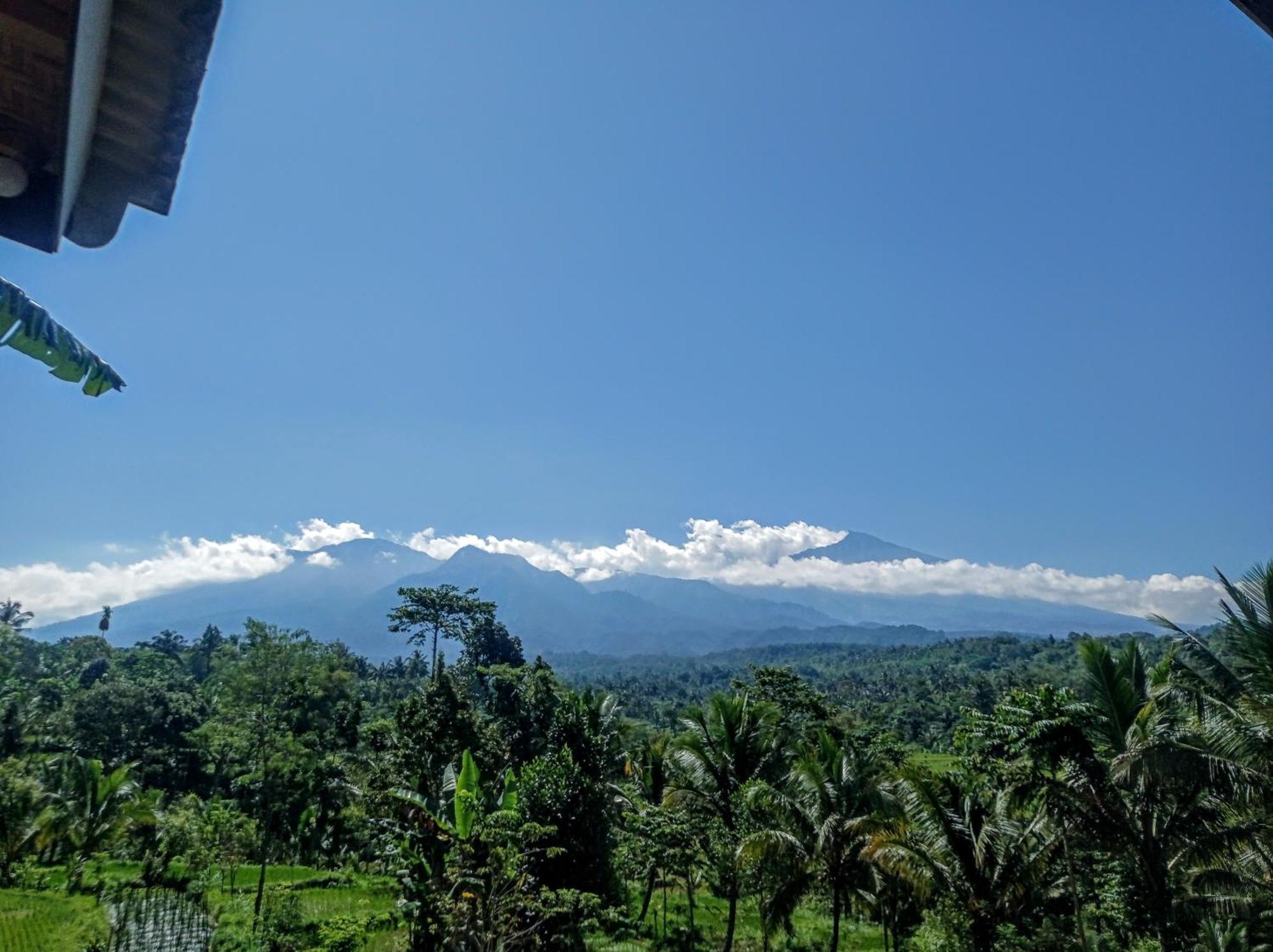 Tetebatu Mountain View Homestay Стая снимка