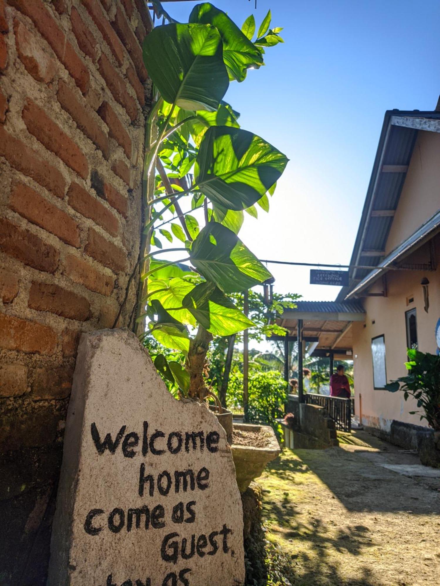 Tetebatu Mountain View Homestay Стая снимка